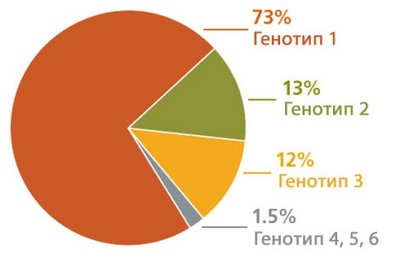 Распространенность генотипов гепатита